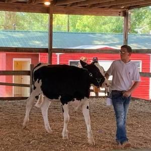 Meet your Posher, Riley